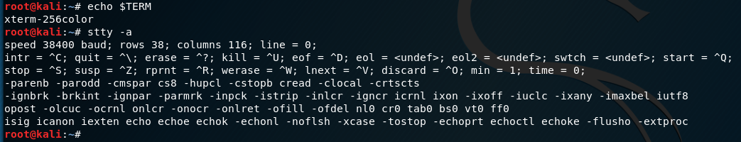 term_stty_info.png